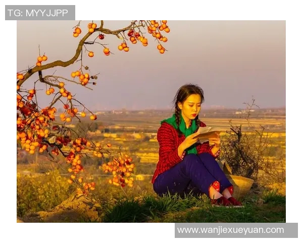 东荷西柳间的岁月流转与人间百态的温柔交织