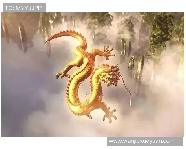 杜格拉斯的传奇人生与不屈精神探索之旅