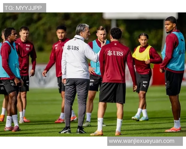 瑞士与英格兰足球赛精彩直播全程回顾与分析 瑞士与英格兰足球赛精彩直播全程回顾与分析