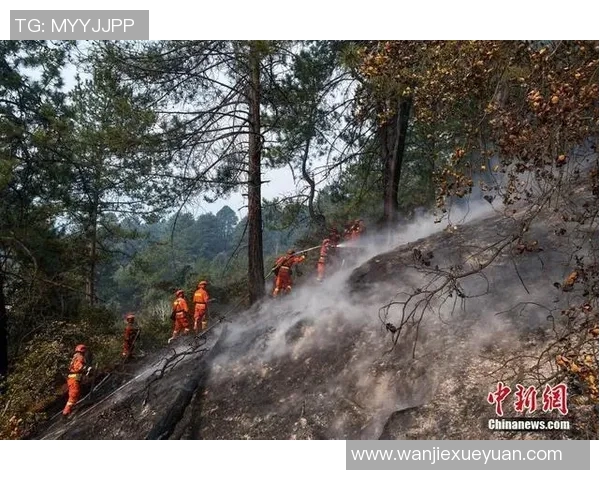 林芝市巴宜足球比赛精彩直播全程回顾与赛况分析