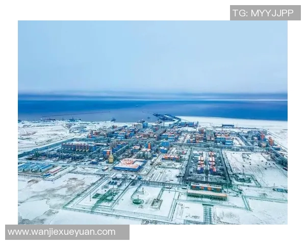 亚马尔地区的资源开发与国际合作前景分析与展望