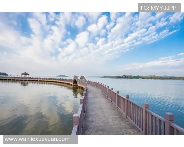 探索威尔郡的自然风光与人文魅力，感受独特的地方文化与历史韵味